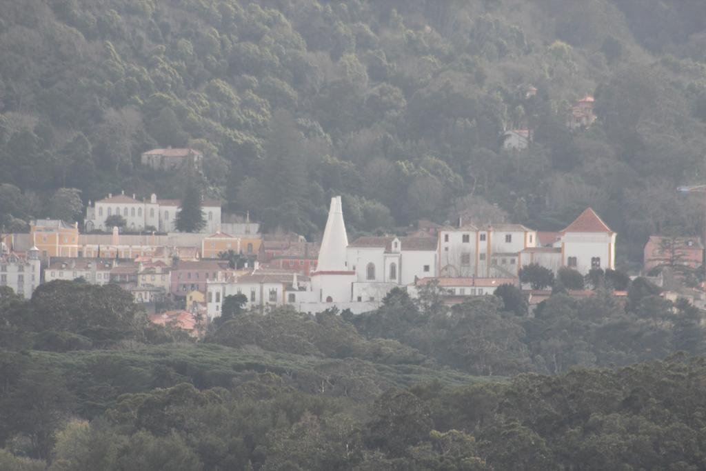Cozy Green Apartment Sintra Zewnętrze zdjęcie